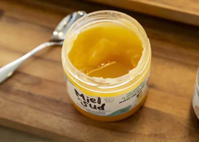 Aparthotel Odalys - Arenes - Palais Des Congres