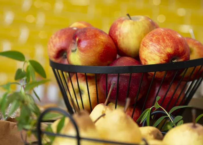 Odalys - Arenes - Palais Des Congres Aparthotel Nîmes