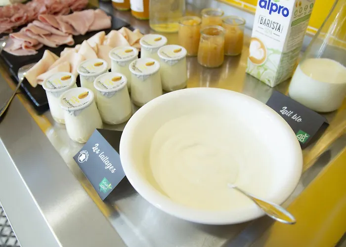 Odalys - Arènes - Palais Des Congrès Appart hôtel Nîmes