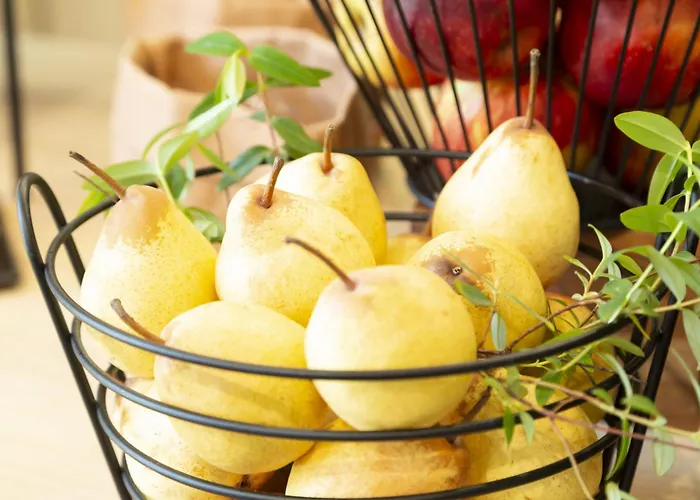 Odalys - Arenes - Palais Des Congres