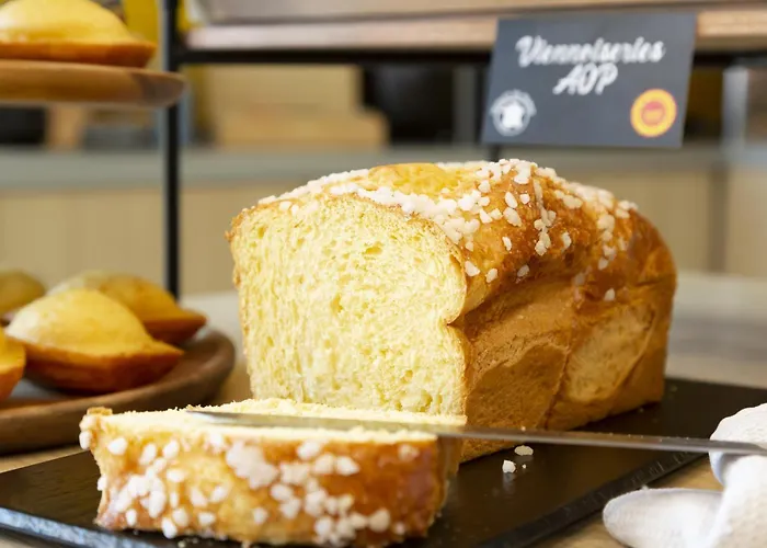 Odalys - Arènes - Palais Des Congrès Appart hôtel Nîmes