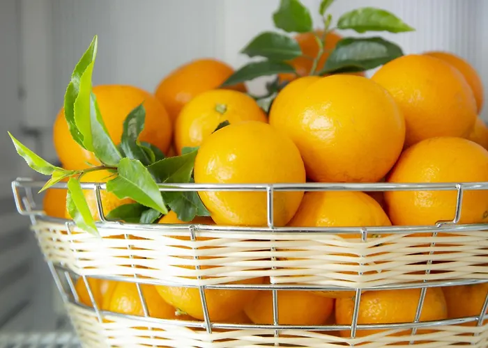 Appart hôtel Odalys - Arènes - Palais Des Congrès Nîmes